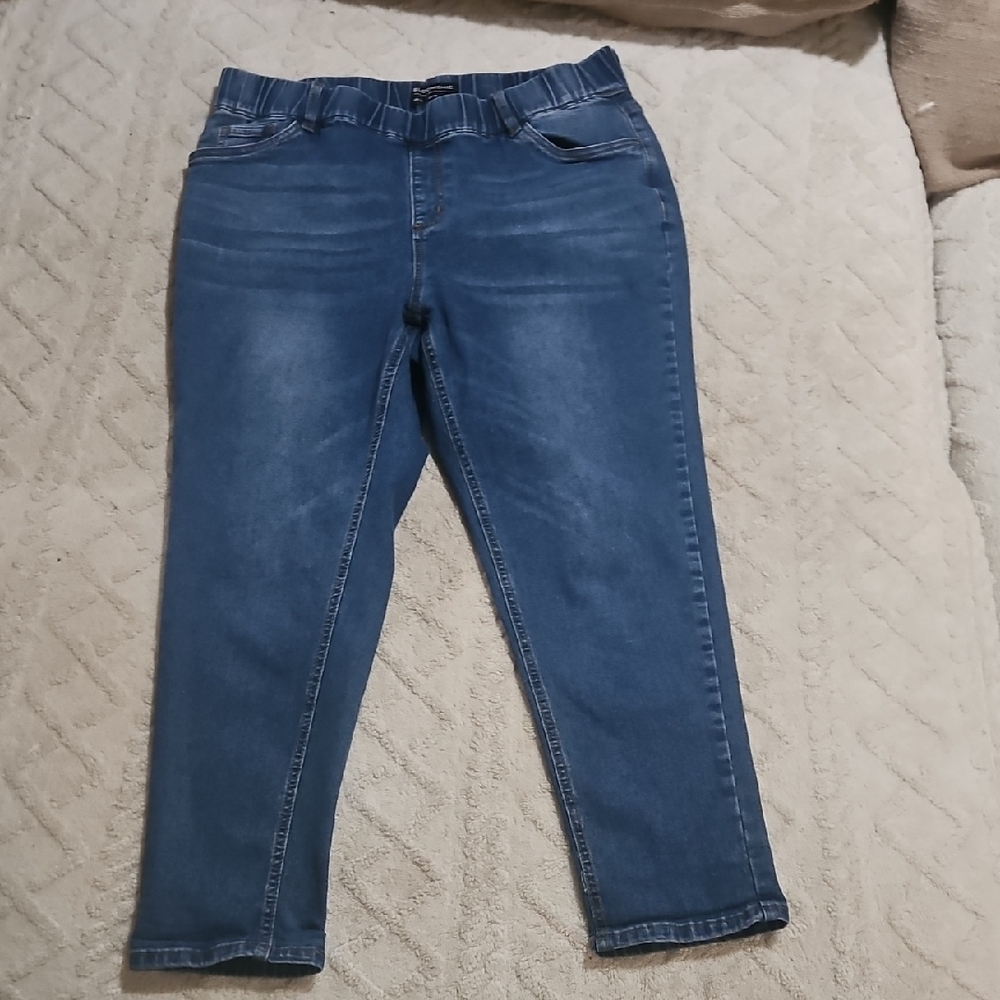 BloomChic Blue Ankle Stretch Jeans‎ Size 14